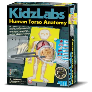 4M Kidz Labs / Human Torso Anatomy