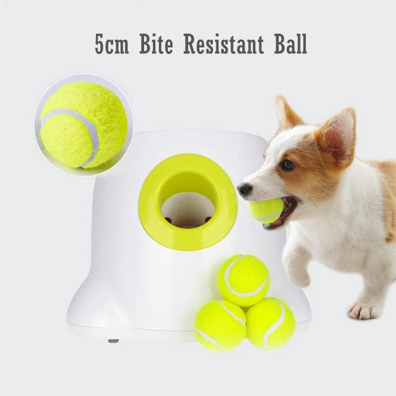 Automatic Pet Tennis Launcher