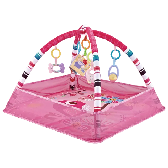 Baby Activity Gym Play Mat & Ball Pit