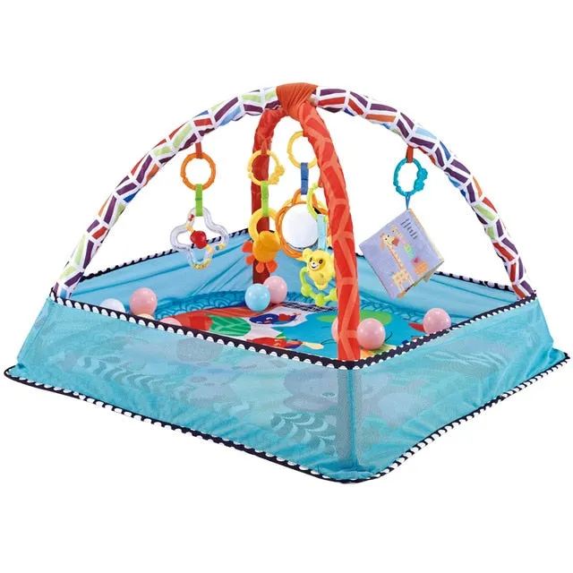 Baby Activity Gym Play Mat & Ball Pit