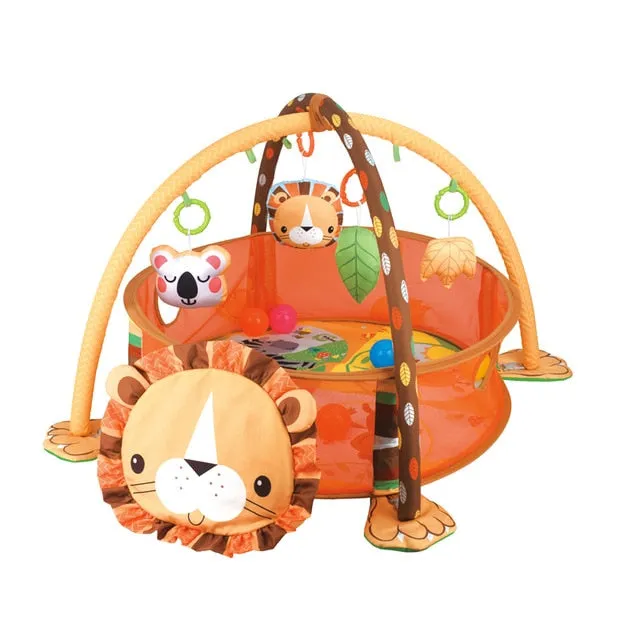 Baby Activity Gym Play Mat & Ball Pit