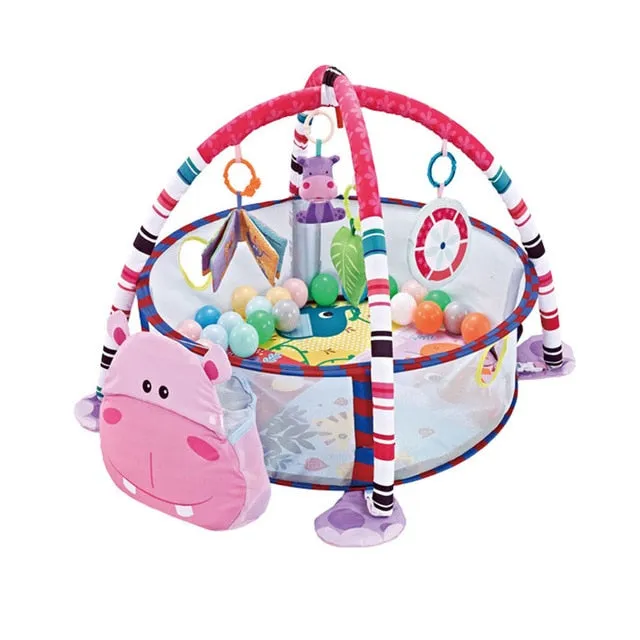 Baby Activity Gym Play Mat & Ball Pit