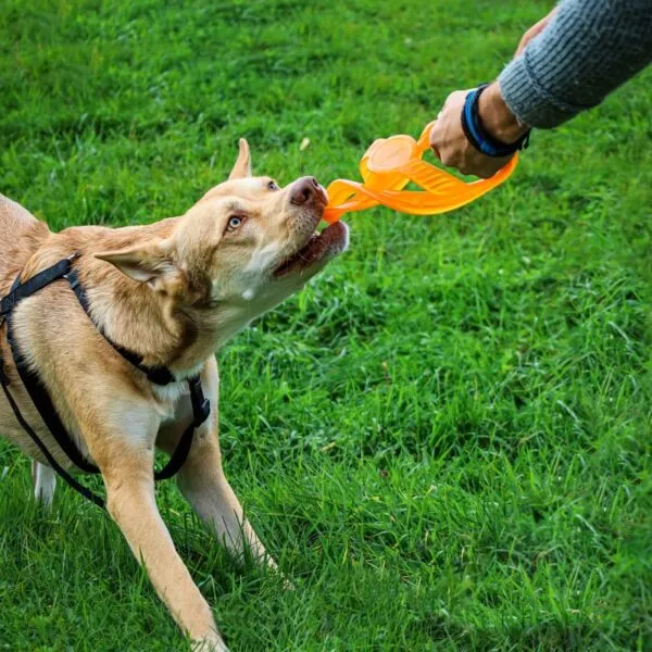 Bionic Toss-N-Tug Dog Toys