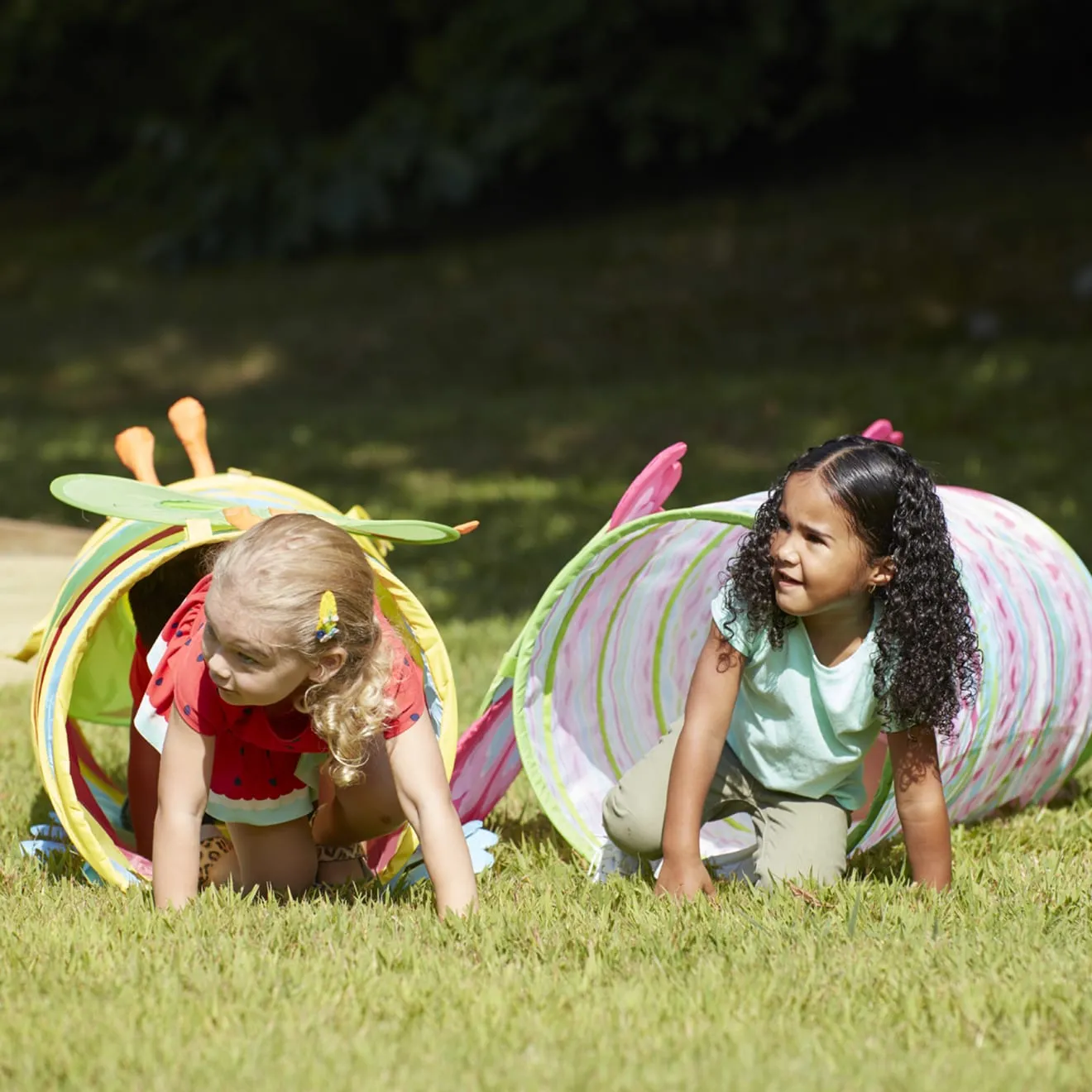 Cutie Pie Butterfly Tunnel