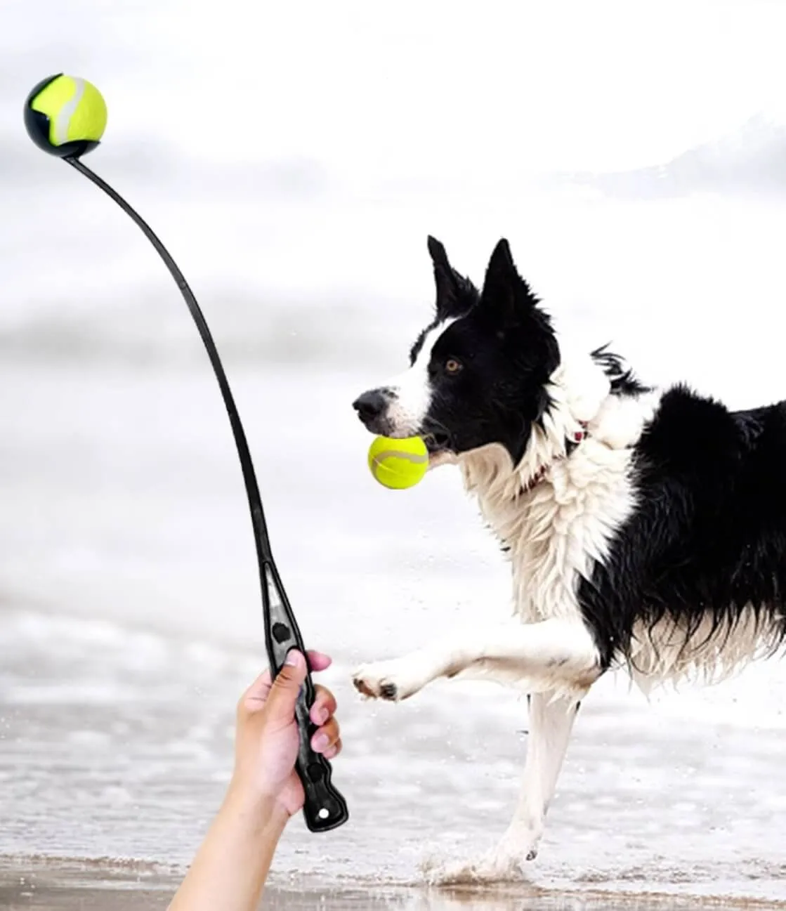 Dog Ball Launcher Thrower Set with 3 Balls