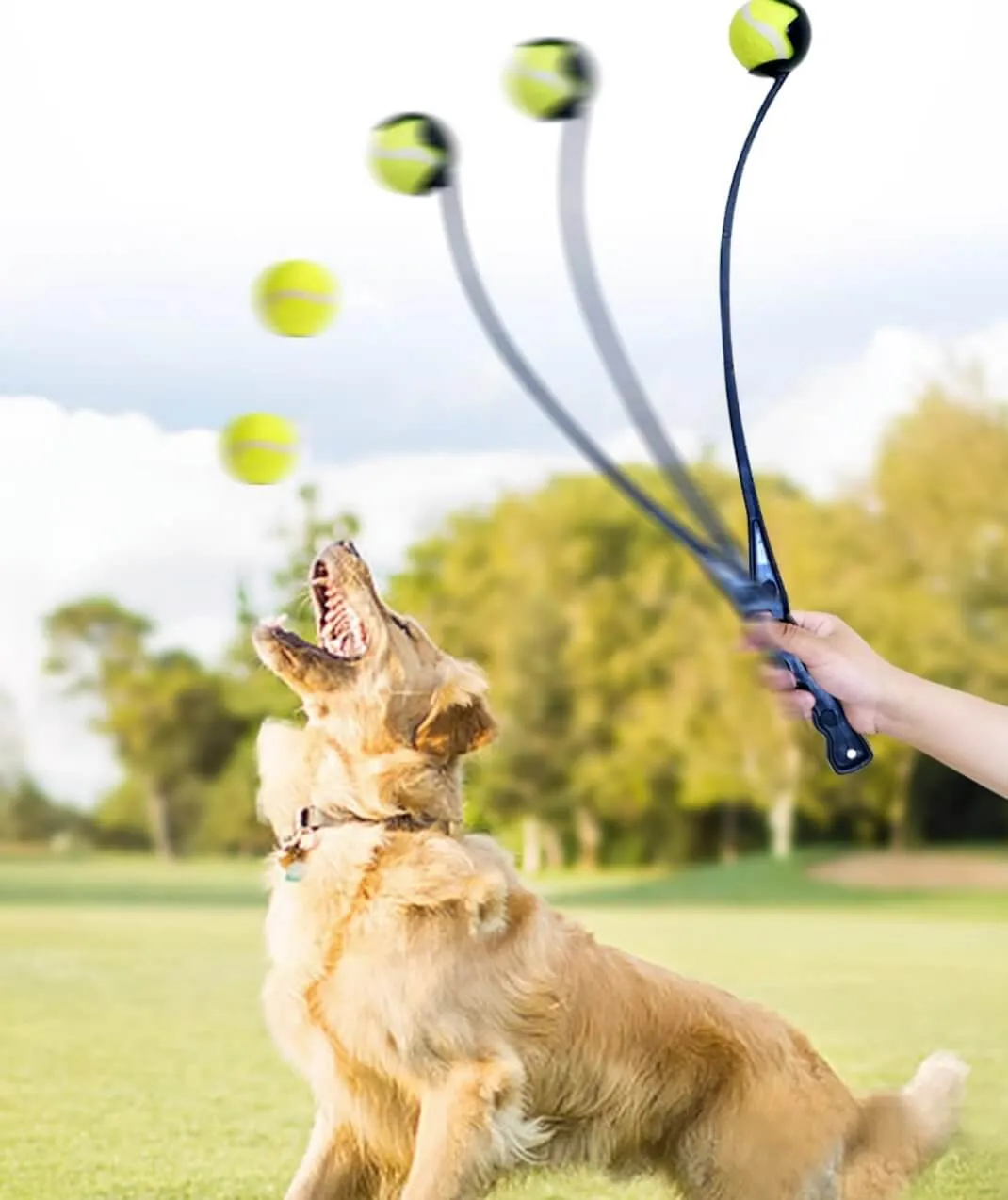 Dog Ball Launcher Thrower Set with 3 Balls