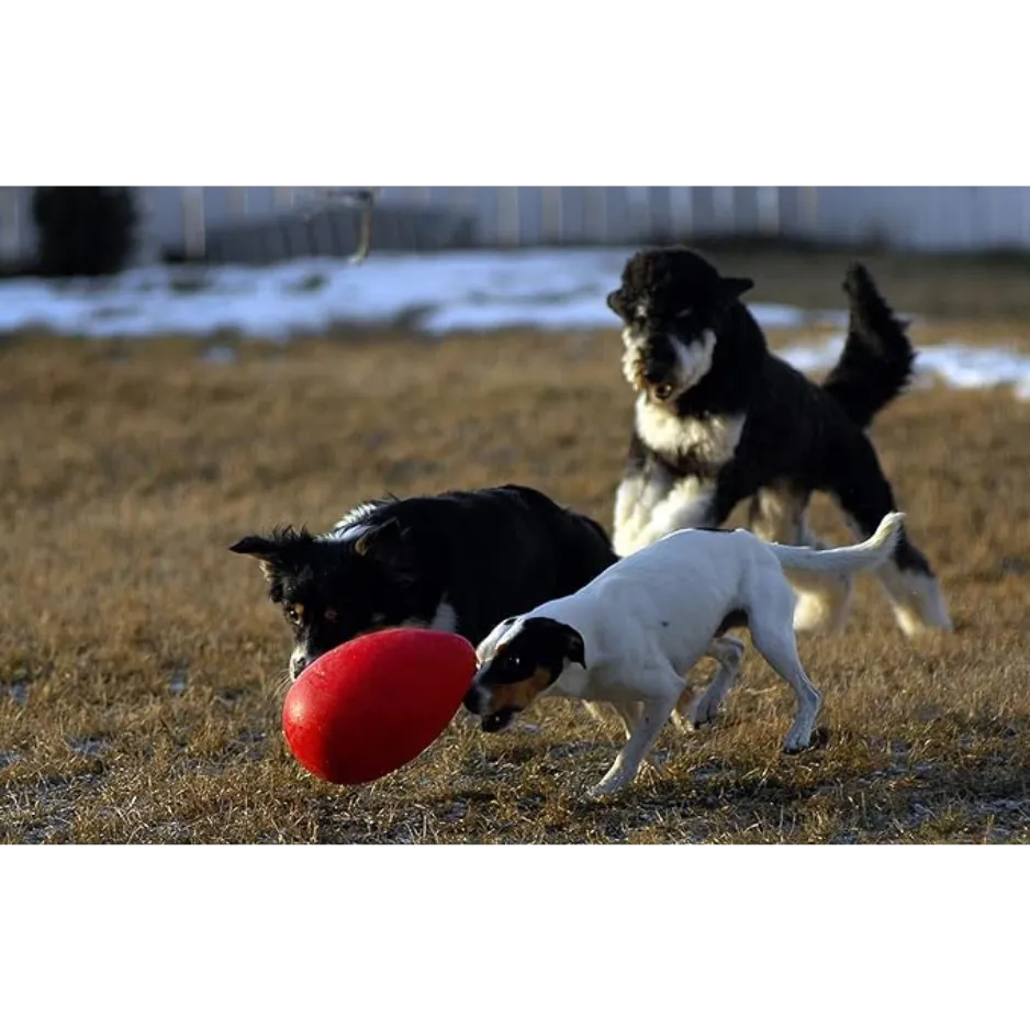 Jolly Pets Egg Dog Toy Red