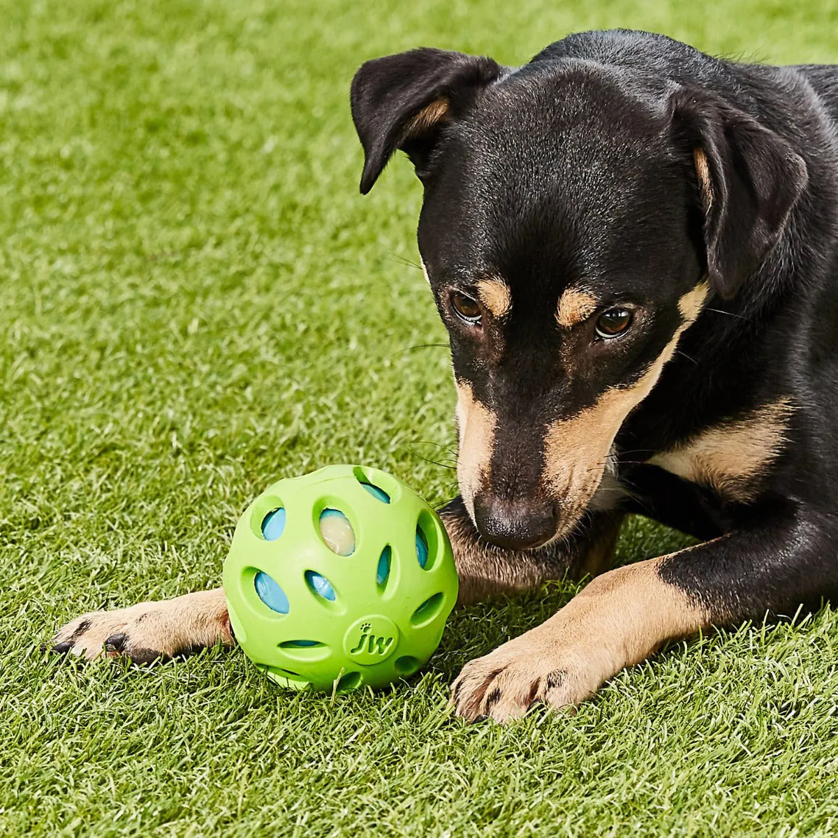 JW Pet Crackle Heads Ball Dog Toy