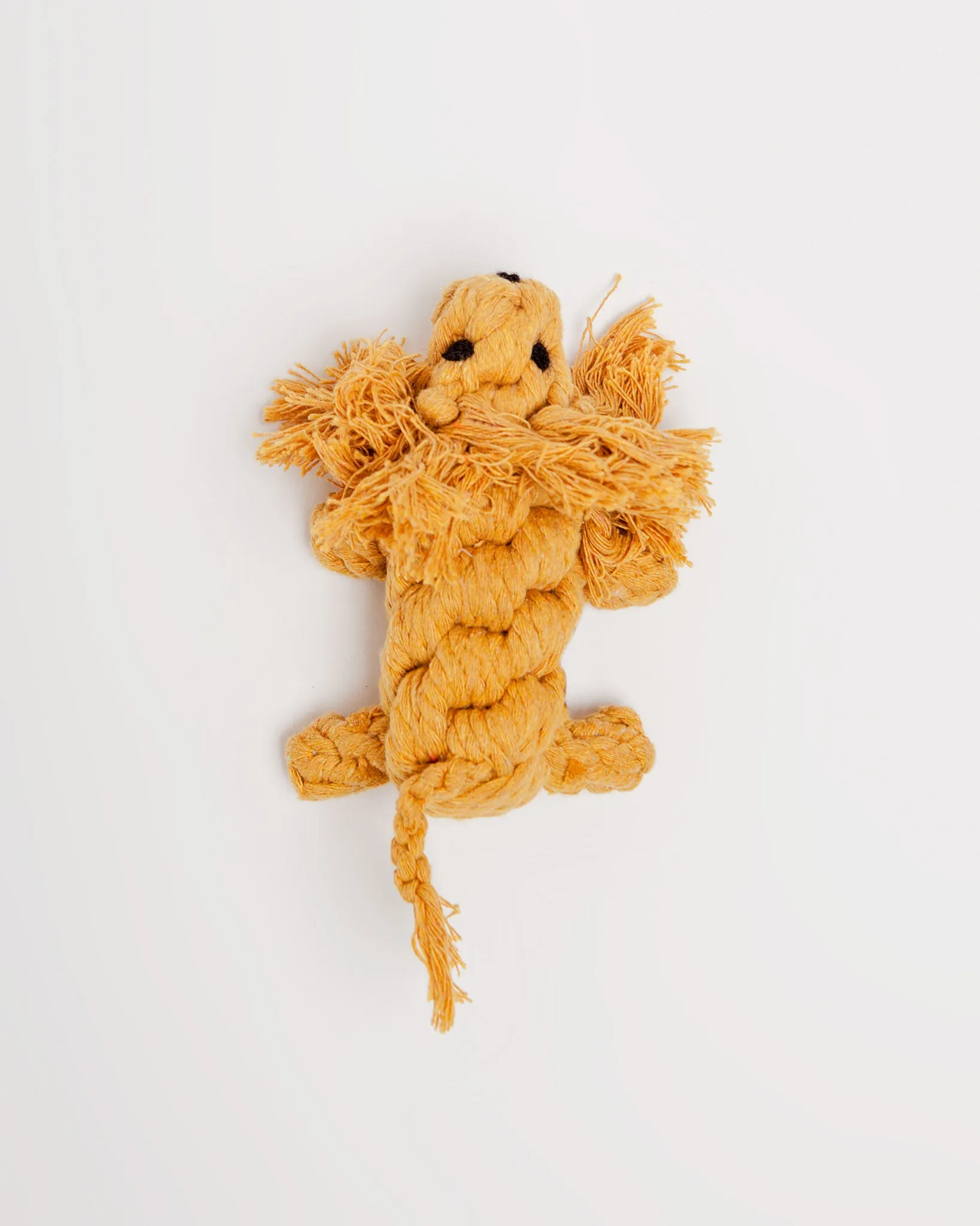 Larry the Lion Rope Dog Toy