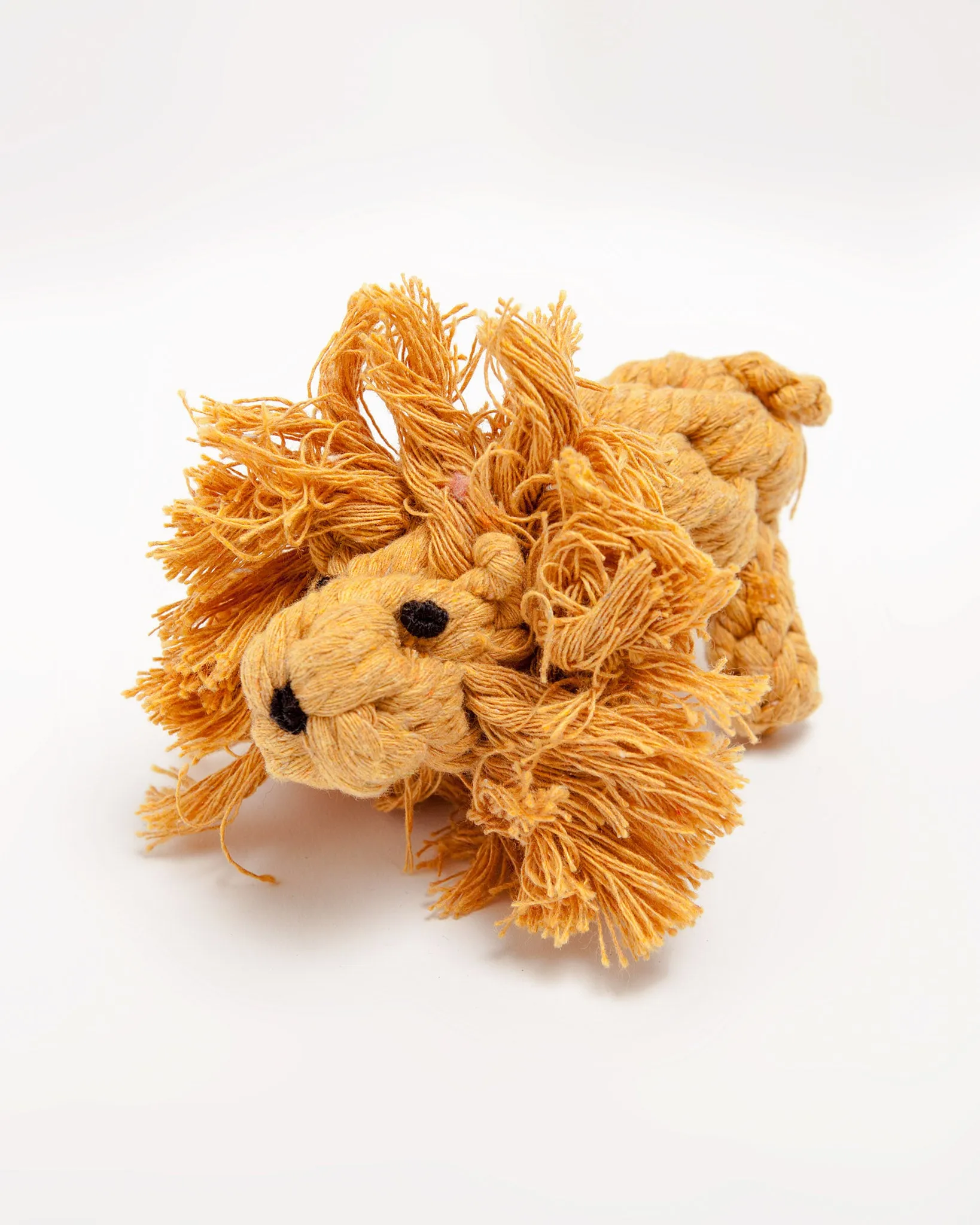 Larry the Lion Rope Dog Toy