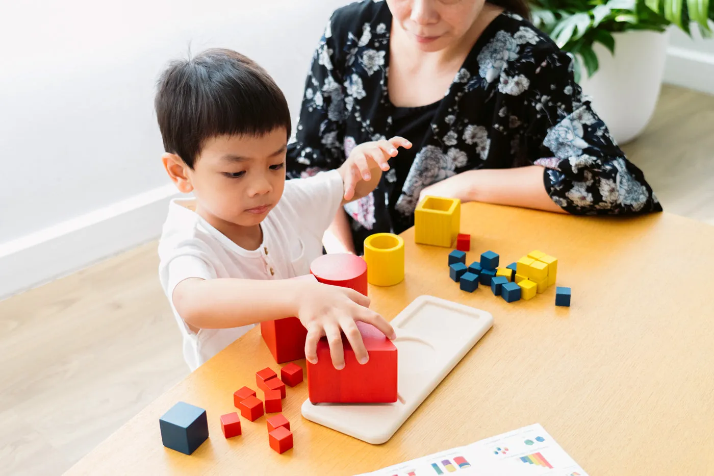 PlanToys Matching & Nesting Shapes Puzzle