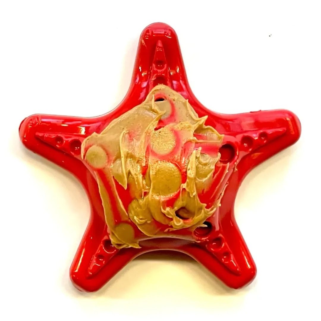 SodaPup Starfish Tough Dog Chew Toy