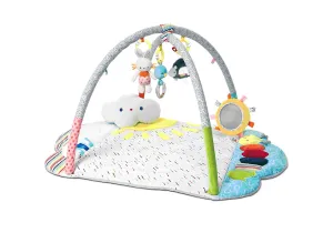 Tinkle Crinkle & Friends Arch Activity Gym Playmat