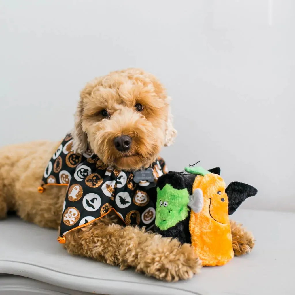 ZippyPaws Halloween Squeakie Buddies Dog Toy 3 Pack