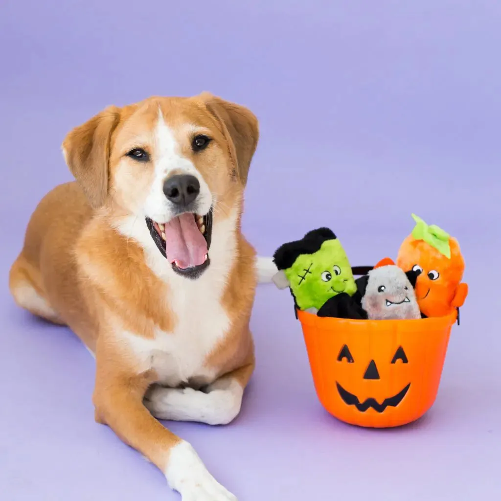 ZippyPaws Halloween Squeakie Buddies Dog Toy 3 Pack